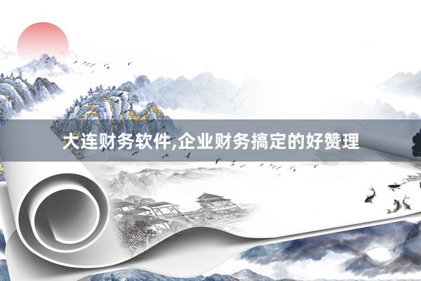 大连财务软件，企业财务搞定的好赞理