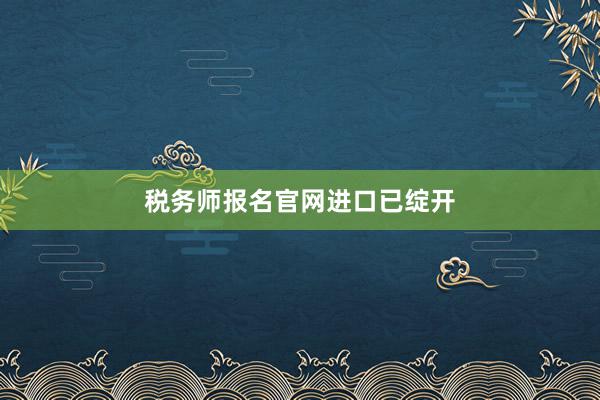 税务师报名官网进口已绽开